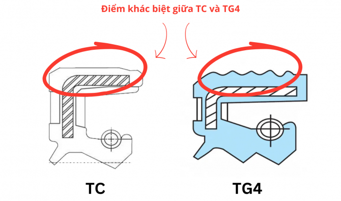 Điểm khác biệt giữa TC và TG4